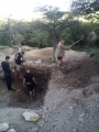 Photo (3)