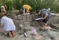 Полевая фиксация
