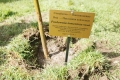 Foto00013