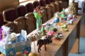_DSC5720 (1)
