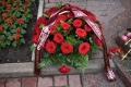 сев 14