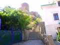 SAM_7409