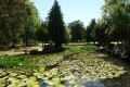 DSC09809