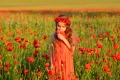 DSC_9111 (1)