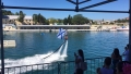 Photo (10)