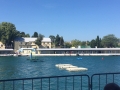 Photo (11)