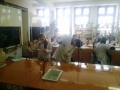 himiya (4)
