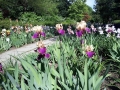20180517_094158