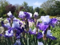 20180517_110242