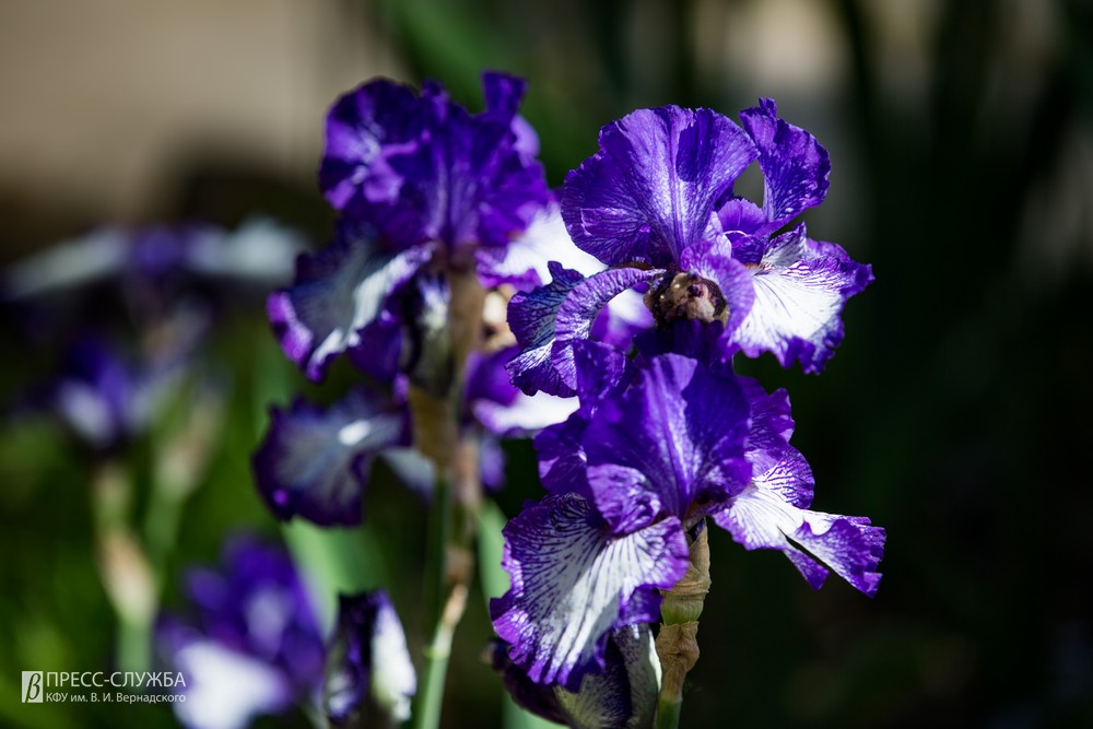 2019-05-24_00004