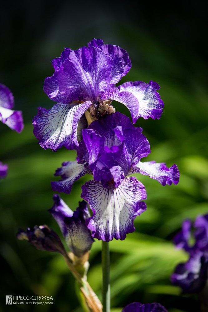 2019-05-24_00005