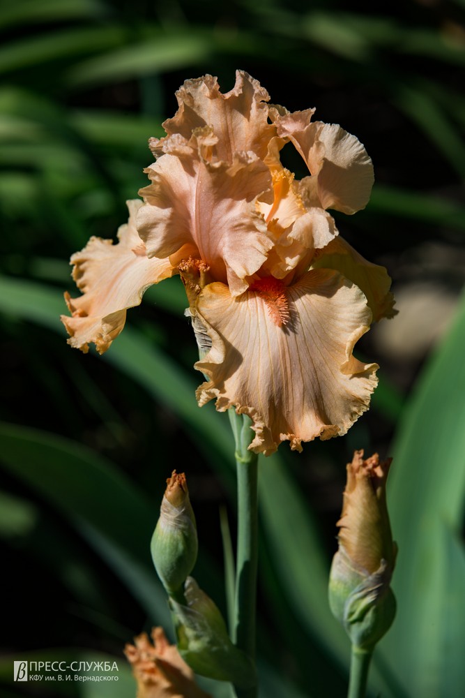 2019-05-24_00022