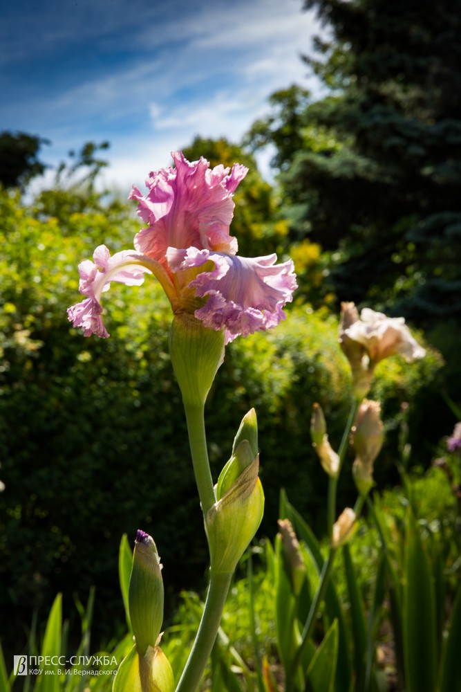 2019-05-24_00030