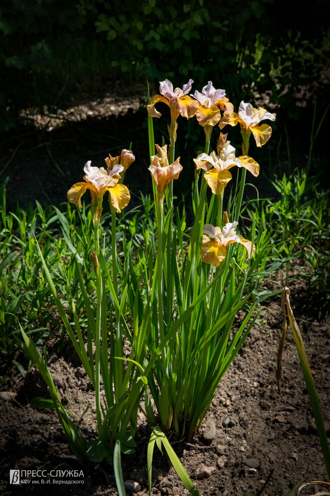 2019-05-24_00032
