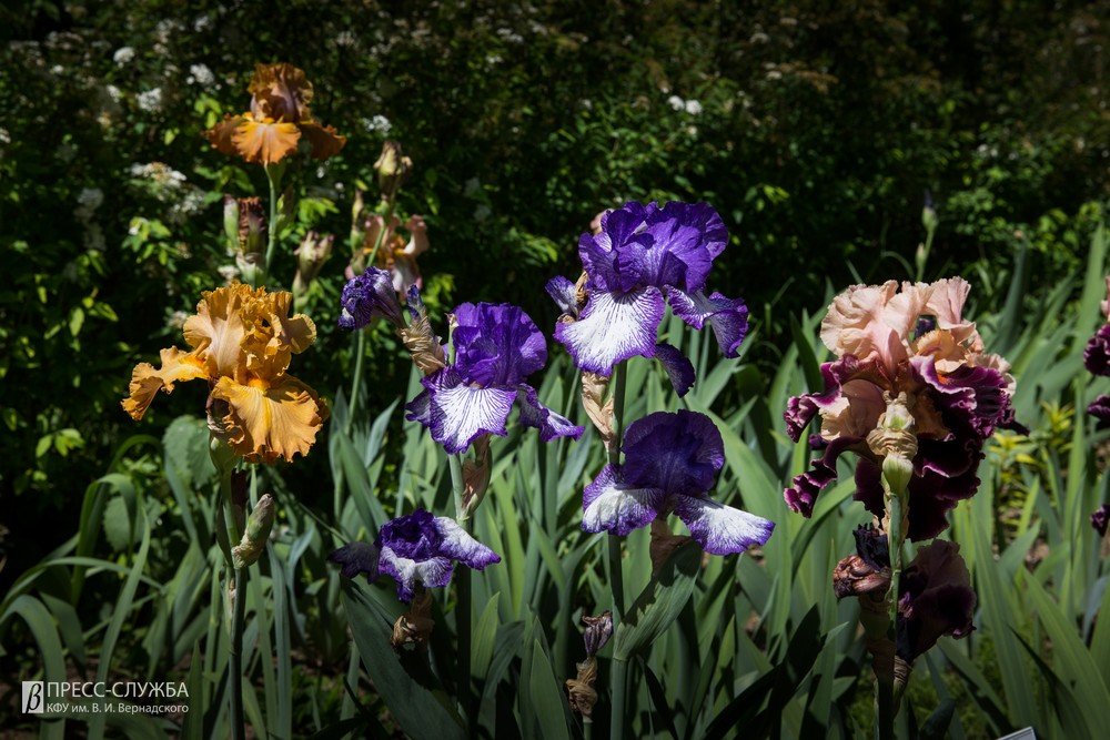 2019-05-24_00033