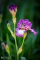 2019-05-24_00003