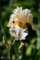 2019-05-24_00007