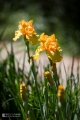 2019-05-24_00008