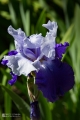 2019-05-24_00009