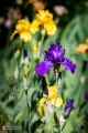 2019-05-24_00010