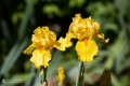 2019-05-24_00012