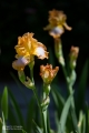 2019-05-24_00019