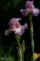 2019-05-24_00025