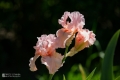 2019-05-24_00026