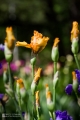2019-05-24_00037