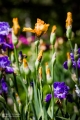 2019-05-24_00039