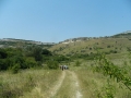 08