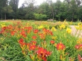 20180629_155015