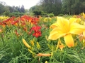 20180629_155041