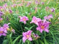 20180629_155115