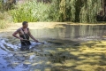 В Ботаническом саду КФУ зацвела «королева воды»