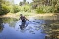 В Ботаническом саду КФУ зацвела «королева воды»