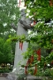 DSC_0767 (1)