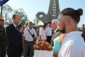 Photo-1