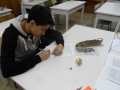 SAM_4518