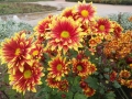 20171031_130529