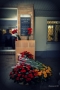 _DSC8113 (1)