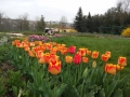 20180412_093415