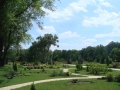 DSC01665