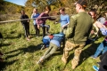 15_