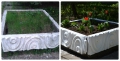 collage_photocat