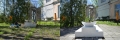 collage_photocat01