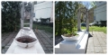 collage_photocat02