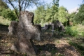 Photo (13)