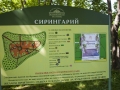 Foto0016