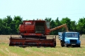 DSC_5752 (1)